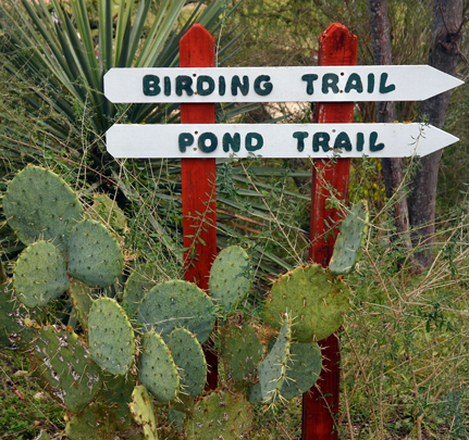 Birding Trail